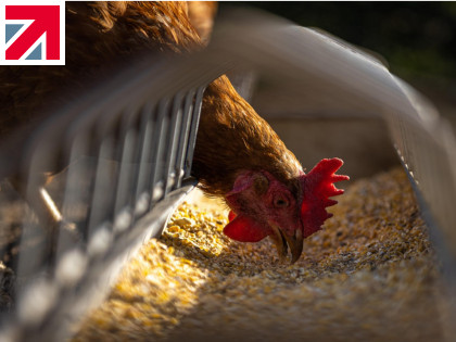Mirius highlights the importance of biosecurity as India battles bird flu in 2025