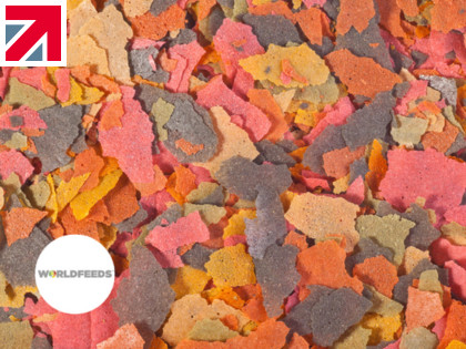 Eliminating contaminants from fish feed