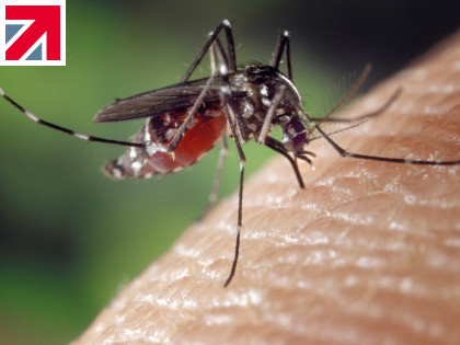 Climate change and West Nile virus