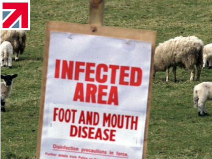 Mirius: Understanding the high consequences of Foot and Mouth Disease