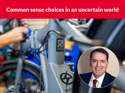 Common sense choices in an uncertain world