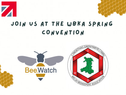 Bee.Watch at Welsh Beekeepers' Convention