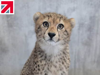 Multipanel takes a walk on the wild side at Yorkshire Wildlife Park