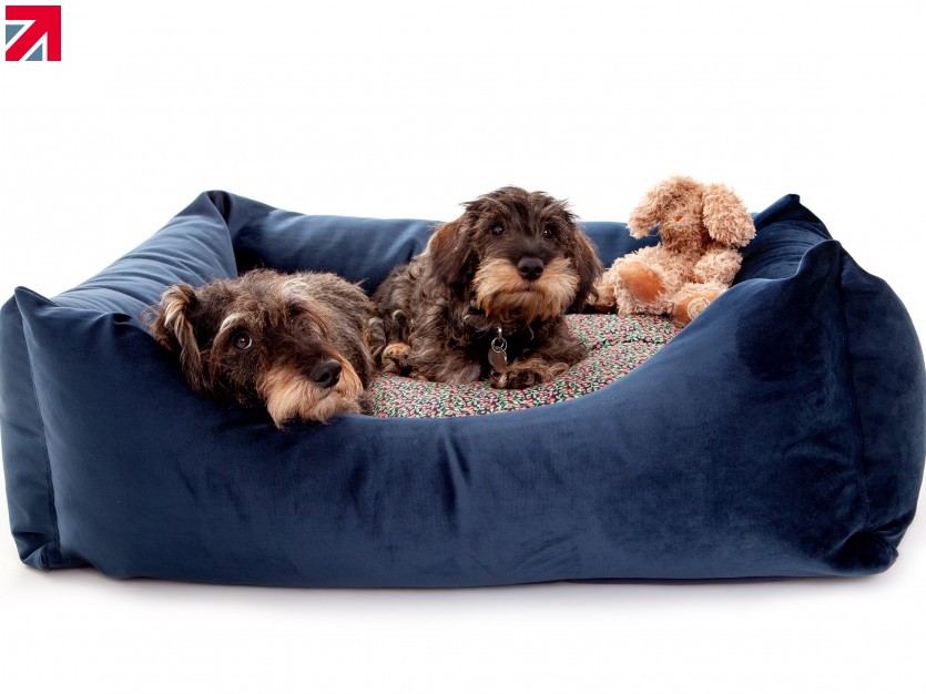 The big dog bed hot sale company