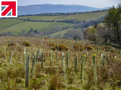 DEXTRA GROUP'S  COMMITMENT TO  THE ENVIRONMENT