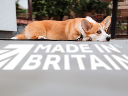 British people love dogs