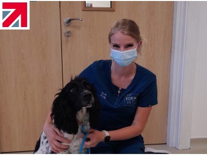 Cheshire veterinary practice installs full radiation shielding