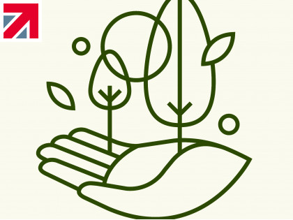 Plant a tree scheme is blooming success