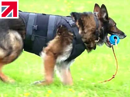 DC Canine Harnesses Supplied to Derbyshire Constabulary