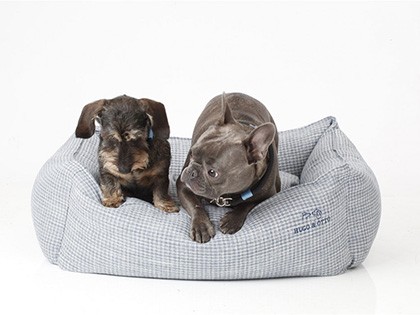 Battle to find supplies in the dog bed market