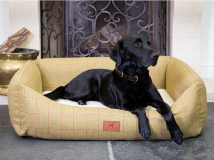 The Red Dog Company joins Made in Britain