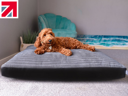 Pamper your pets this Yuletide with rucomfy’s range of pet beds