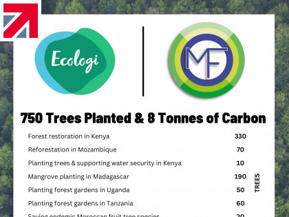 We've planted 750 trees with Ecologi!