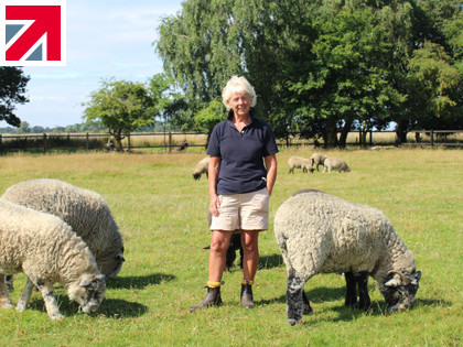 Why the founder of Britain’s leading metal bed brand took up shepherding