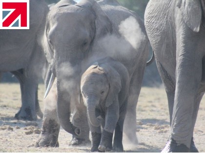 VISIT TO AFRICA – NOVEMBER 2021