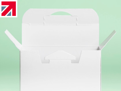 Innovative security lock cartons