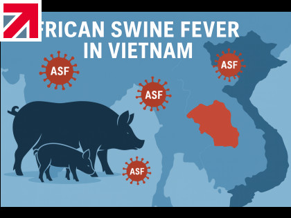 Vietnam pig industry threatened by virus disease
