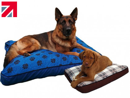 MyPillow Caring for your Canine on Bonfire Night
